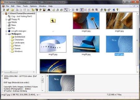 Disk Explorer Professional 3.70