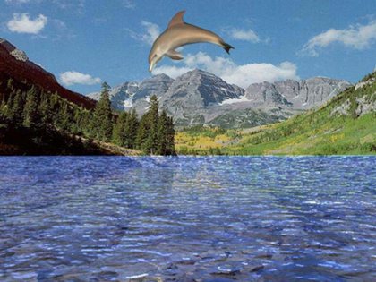 Free 3D Dolphin Aqua 3.76