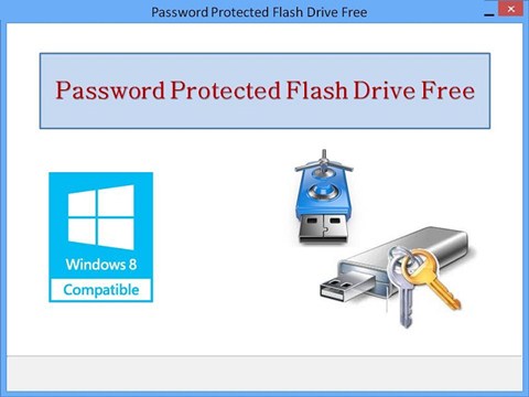 Password Protected Flash Drive Free 1.0.0.88